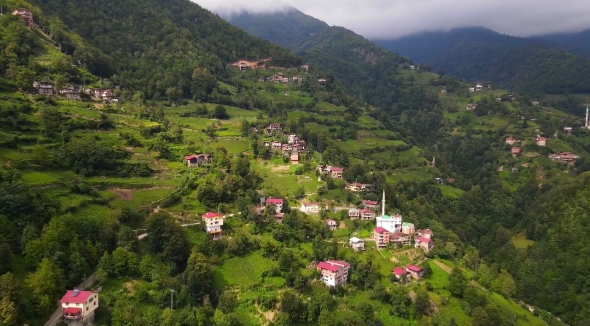 Dağ Manzarası