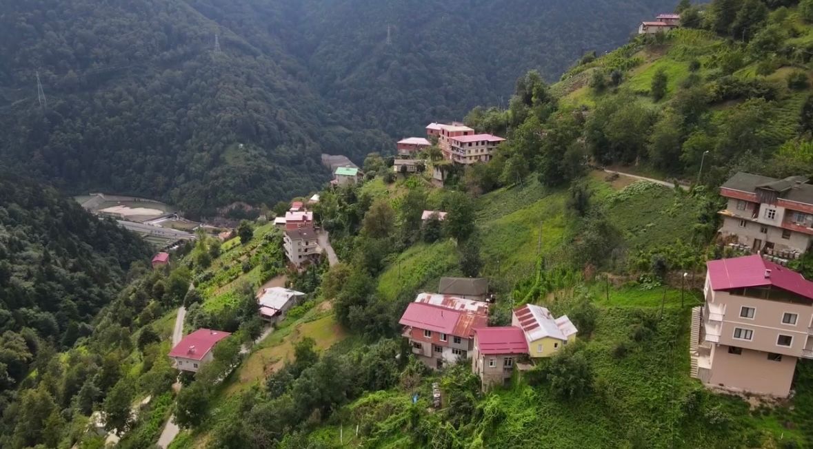 Manzara